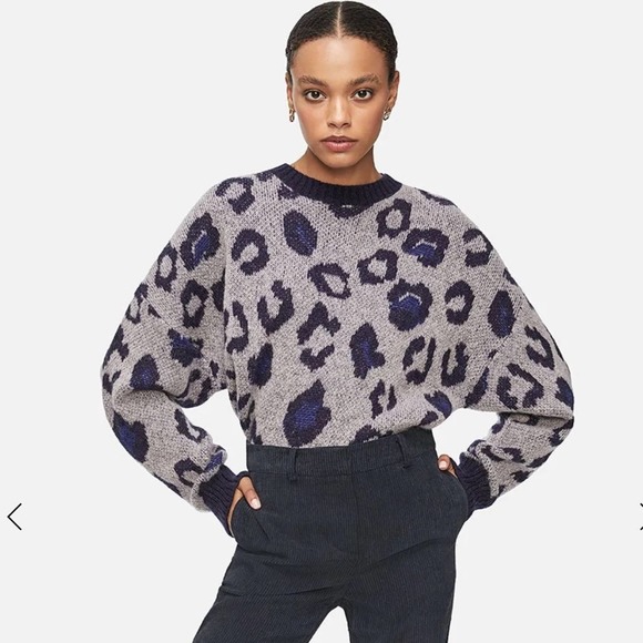 Anine Bing Sweaters - Anine Bing Raigh Leopard Crewneck Sweater